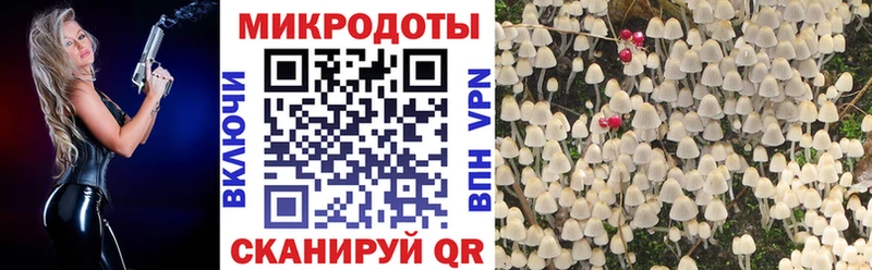 где купить   Княгинино  Псилоцибиновые грибы Psilocybe 